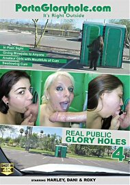 Real Public Glory Holes 4 (2017) (153015.21)